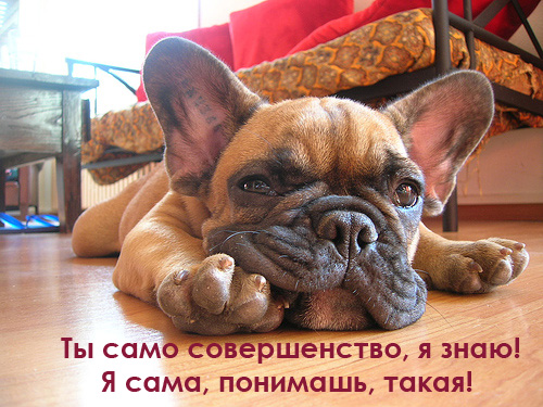 Рисунок