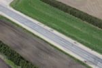 В Беларуси планируется сократить ширину придорожных лесозащитных полос