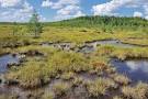 Экологический календарь 2 февраля - Всемирный день водно-болотных угодий
