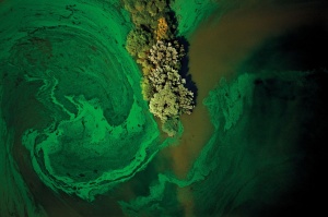 Фотофакт: опасная красота нефтяных разливов и промышленных отходов