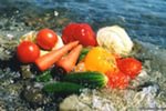 Потребители требуют экологически чистых продуктов