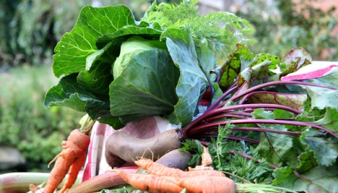 продукты1.jpg