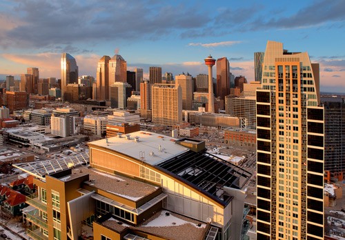 8_clean_cities_4.jpg