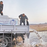 Мальками карася и карпа зарыбили озеро Должа в Витебской области