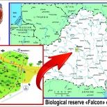 Новая экологическая тропа откроется в заказнике «Соколиный» под Минском