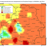 Из-за жары в Беларуси горят трава, торфяники и кустарники. Введен запрет на посещение лесов