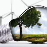 Шведские и белорусские ученые планируют сотрудничать в экологии и энергетике