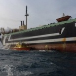 Активисты Гринпис захватили порт в Австралии
