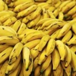 Бананы в будущем смогут заменить хлеб