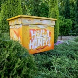Минчане за неделю «удочерили» 30 тысяч пчел