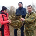 Как помочь ушастым совам в городе?