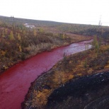 В Норильске река окрасилась в багровый цвет 