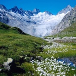 5 самых экологичных стран мира!