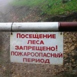 Запрет на посещение лесов введен в Ивацевичском, Пинском и Жлобинском районах