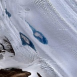 В Антарктиде заметили 8 тысяч ослепительных голубых озер