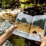 Выставка "Большая книга леса"