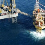 Экологи опасаются коллапса экосистемы Северного моря из-за утечки газа