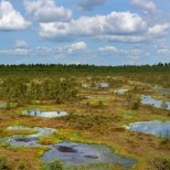 Экологический проект по восстановлению торфяников будет реализован в Могилевской области