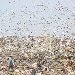 Китай перестанет завозить иностранный мусор